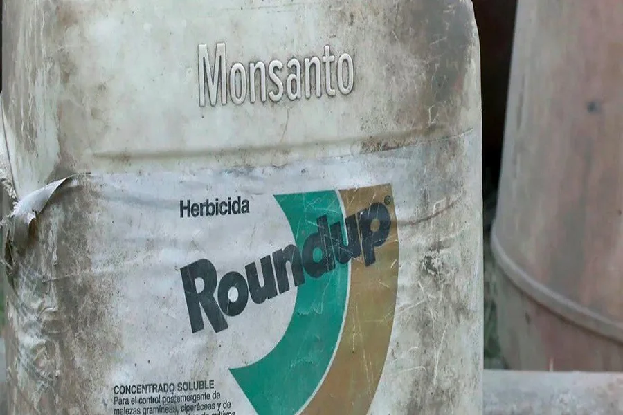 La Unión Europea restringió el uso de glifosato