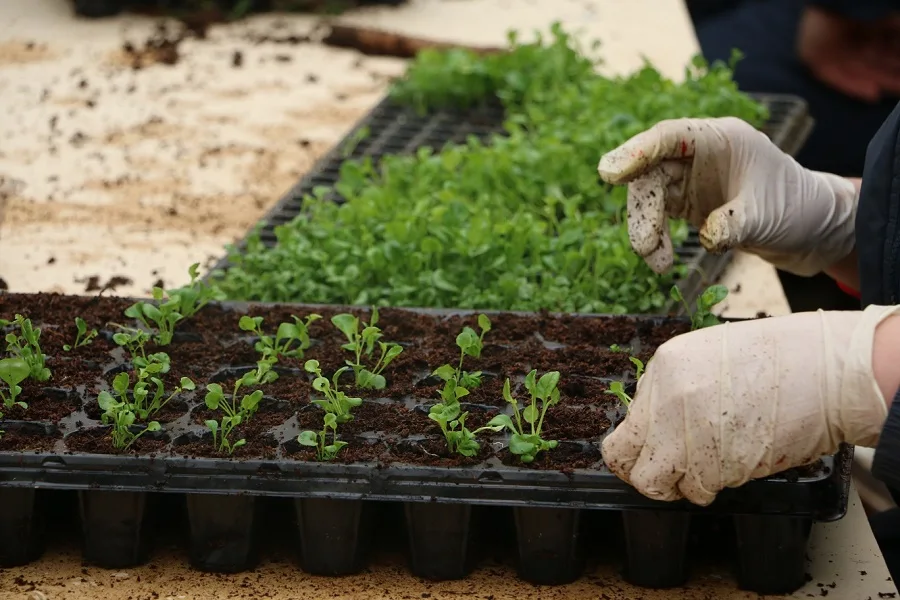 Parques y Jardines continúa los preparativos para la temporada de este año