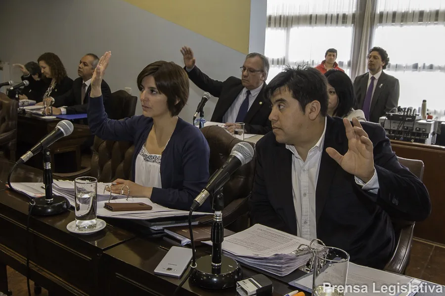 Legisladores extiendieron el mandato de directores del Ipauss