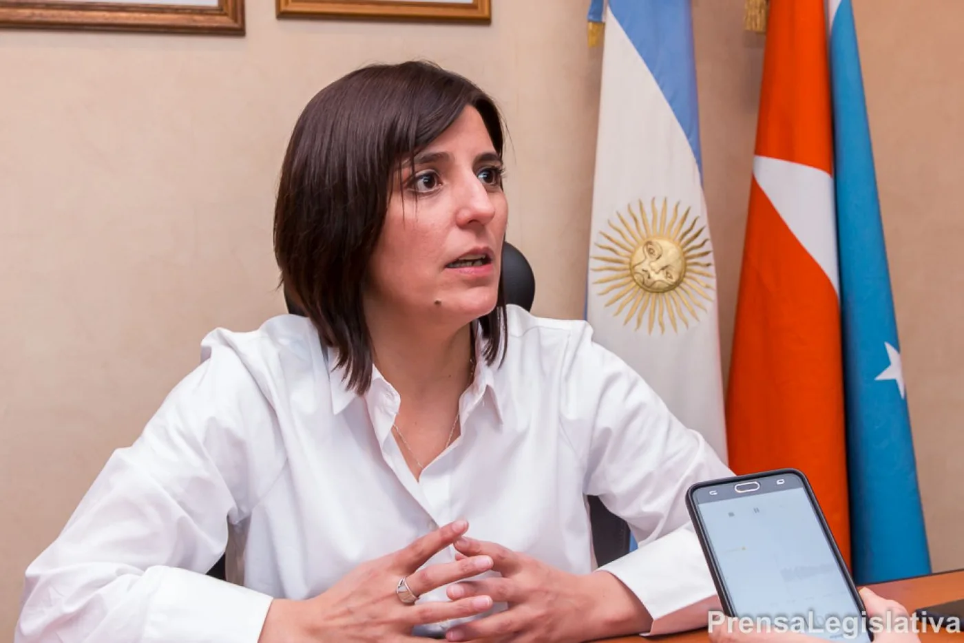 Angelina Carrasco presidirá Justicia y Seguridad en el Parlamento