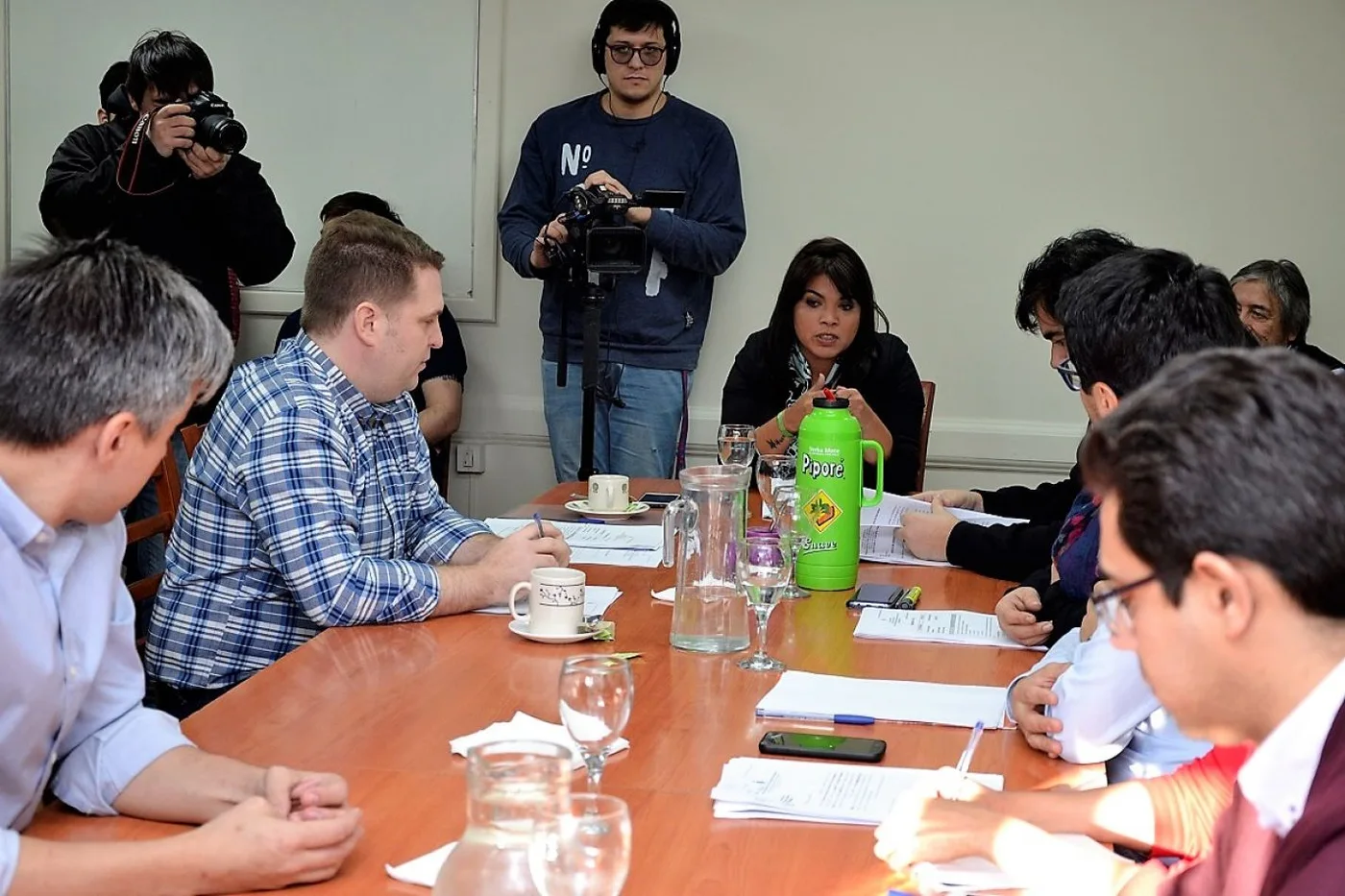 Contundentes negativas recibieron los proyectos de Von der Thusen.