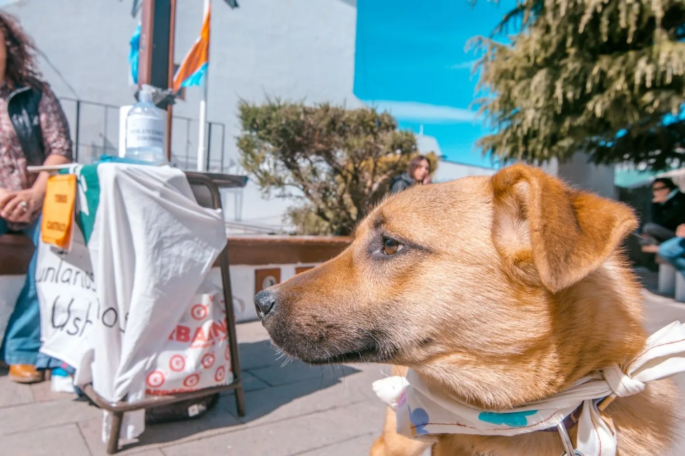 La Municipalidad organiza capacitación para Zoonosis y charla abierta