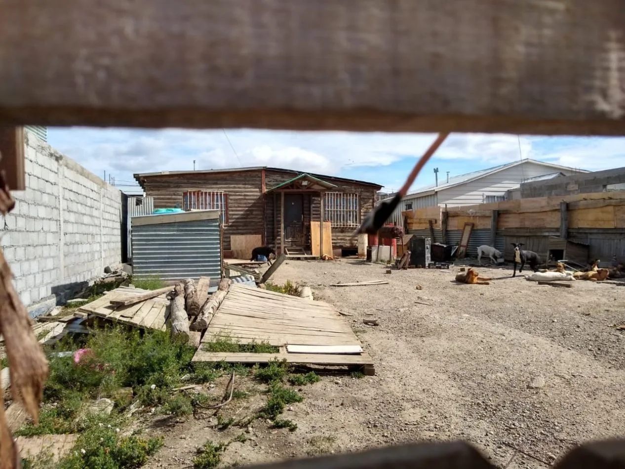 Hay gente que entra y sale de la casa pero que no habitan en el lugar y los perros quedan solos.