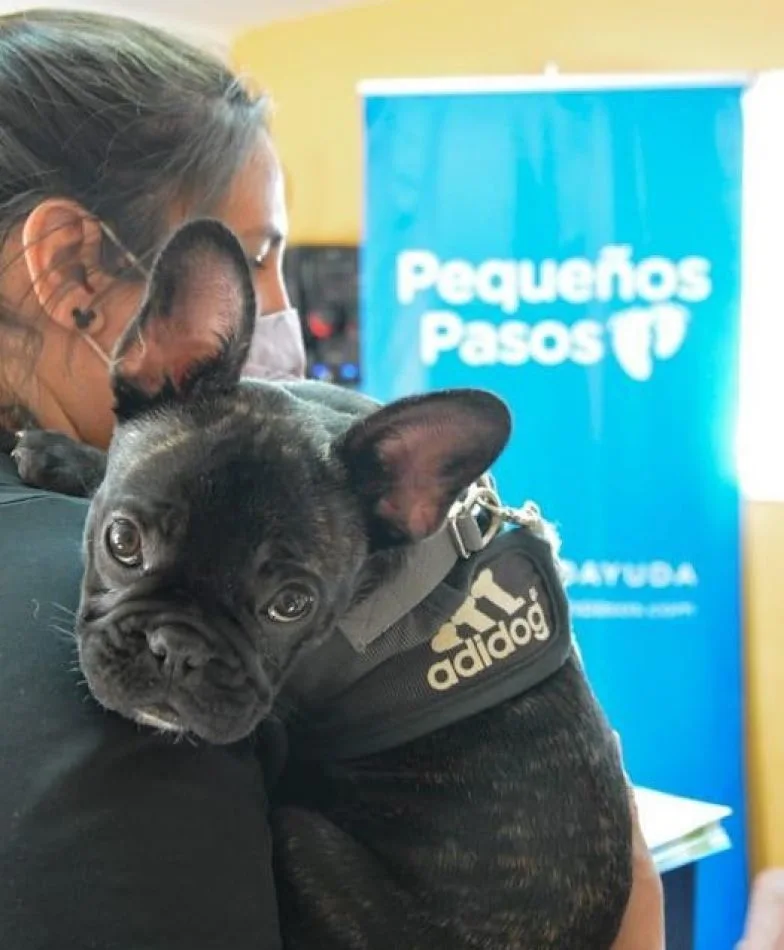 Se llevó a cabo una nueva jornada de "Zoonosis más cerca"