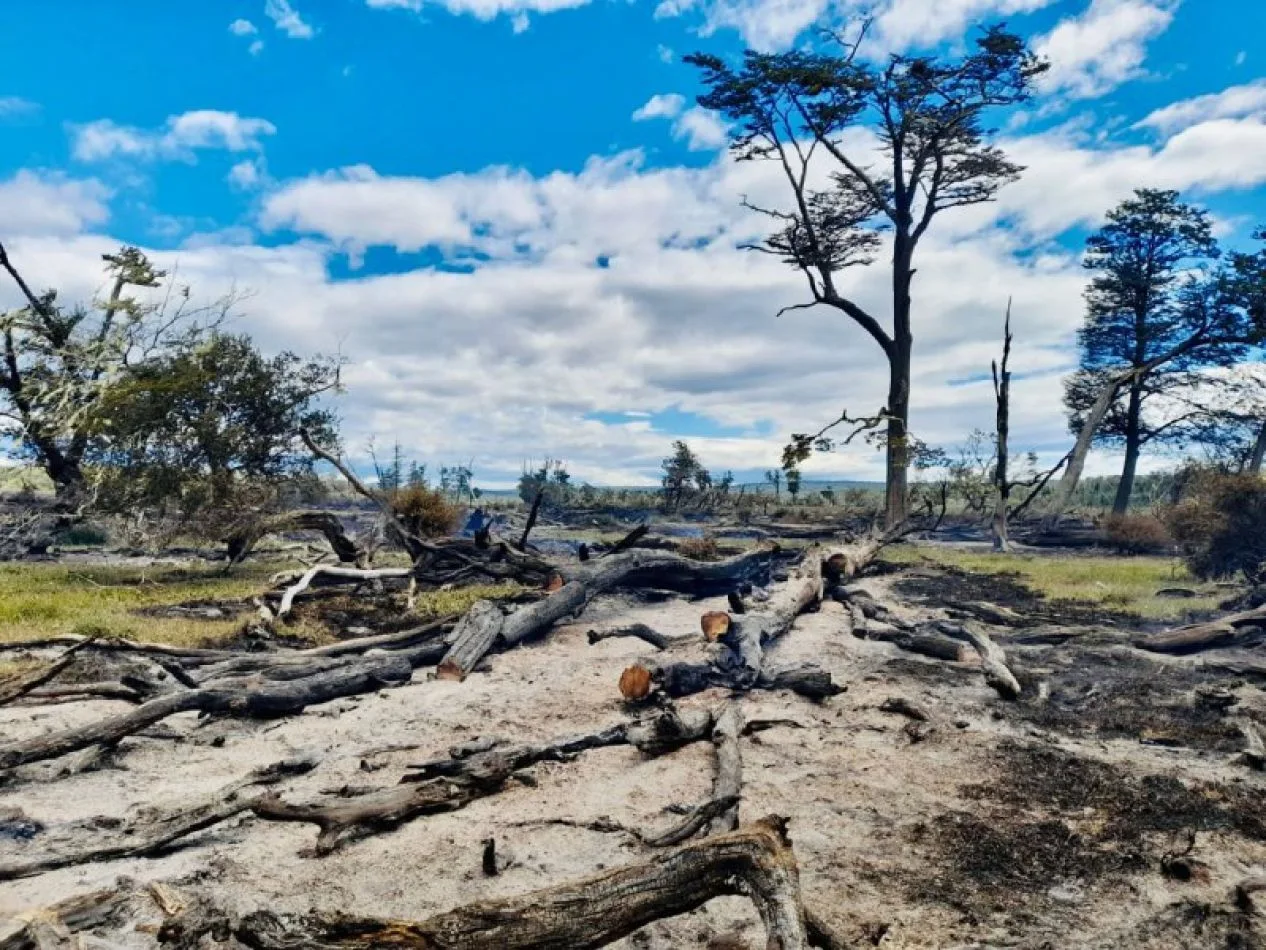 Se declaró un nuevo incendio en Punta Segunda camino a Almanza