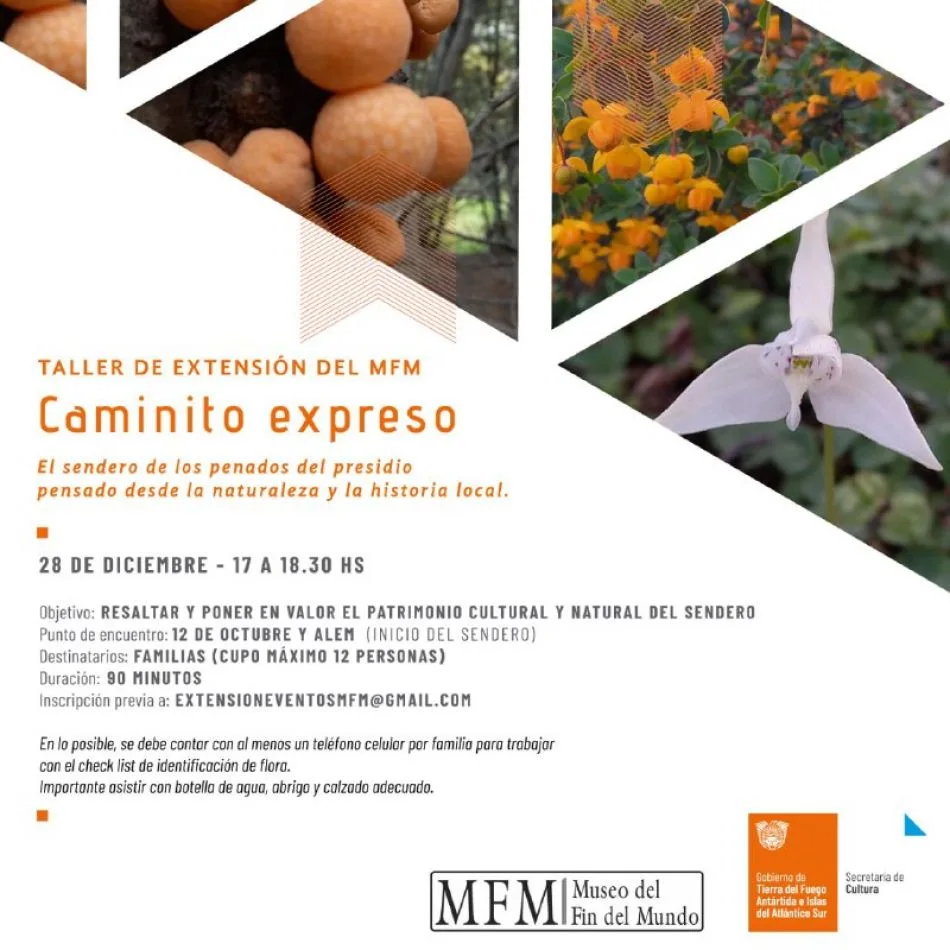 El Museo del Fin del Mundo inicia el ciclo de talleres de verano para toda la familia