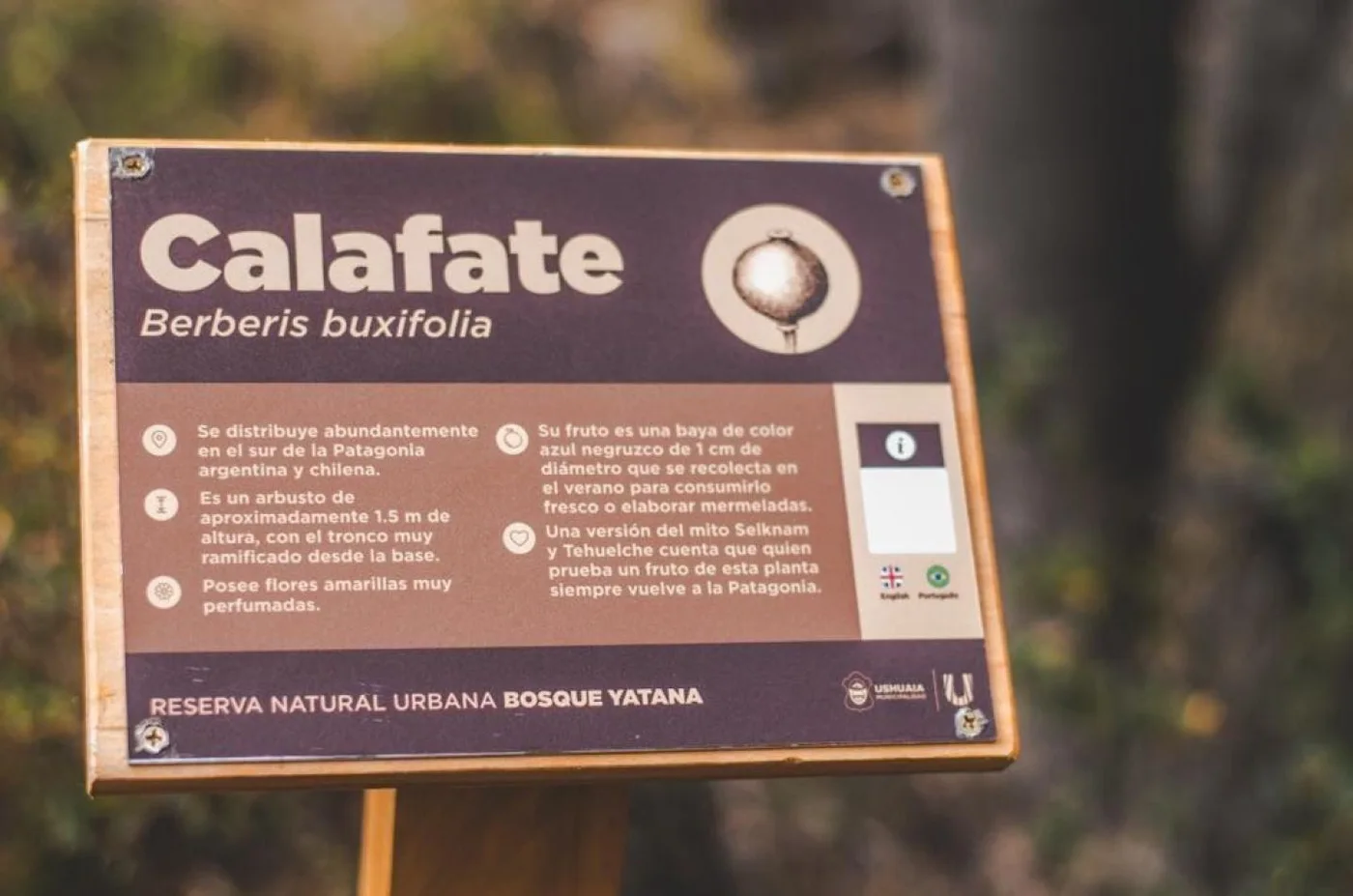 Municipio de Ushuaia coloca nueva cartelería en el bosque Yatana