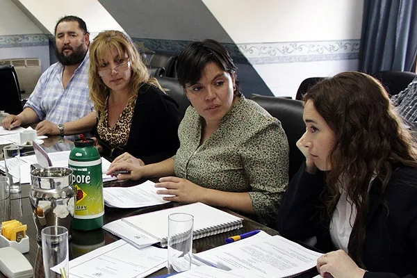 Claudia Andrade en el centro, durante la reunión de la Comisión de Salud de la Legislatura fueguina.
