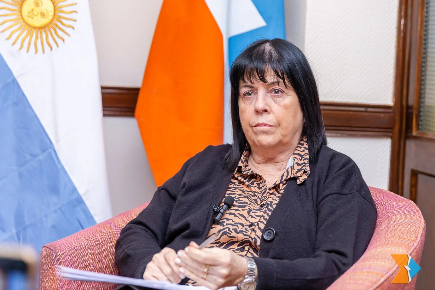 Referente del UCR, Liliana Martínez Allende.