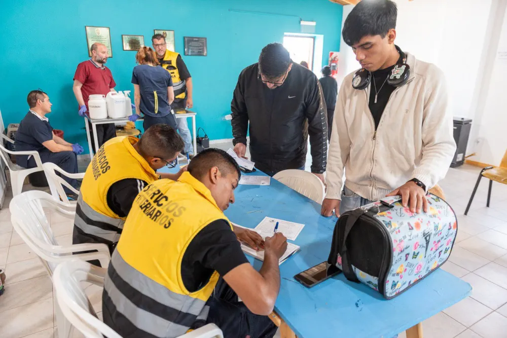 El Municipio de Río Grande llevó adelante un nuevo operativo de chipeo, desparasitación y vacunación antirrábica, en el cual se llevaron a cabo 250 intervenciones en beneficio de nuestros amigos de 4 patas.