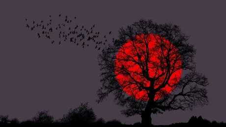 El eclipse lunar del 27 de julio de 2018 será el más largo del siglo XXI