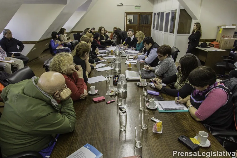 Funcionarios fueguinos debatieron con ONG e instituciones sobre discapacidad y RUPE
