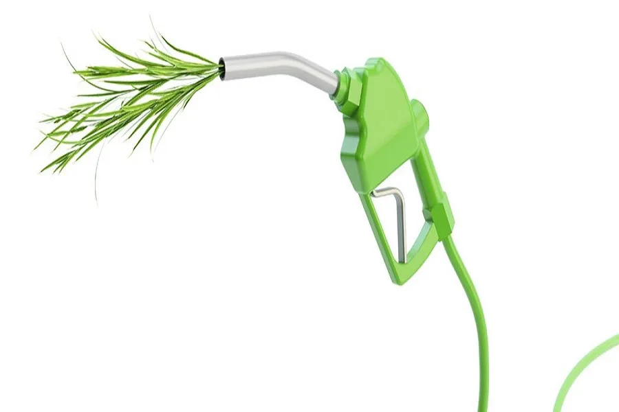 Microalgas en el desarrollo de biocombustibles