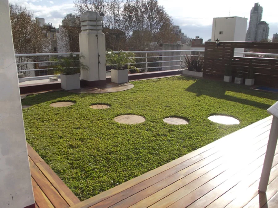 Por ley, edificios de Córdoba tendrán que tener terrazas verdes