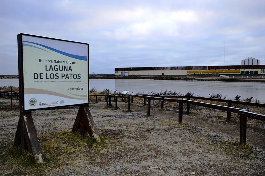 Defensa Civil recomienda no patinar en la Laguna de los Patos