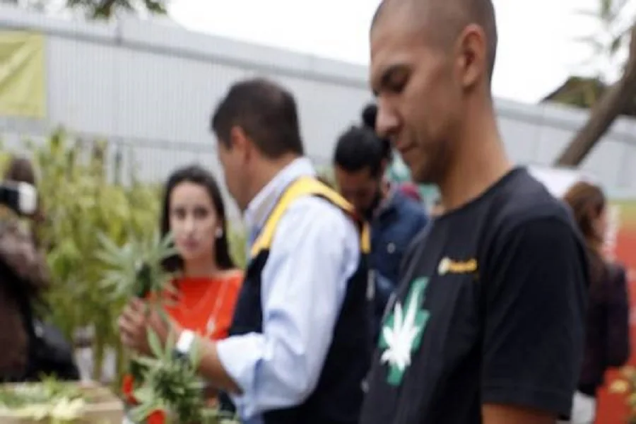 Diputados pide que se investigue el uso medicinal del cannabis