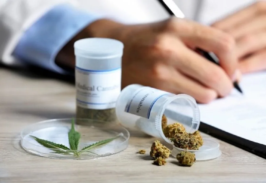 Chubut aprobó por ley el uso de la marihuana medicinal