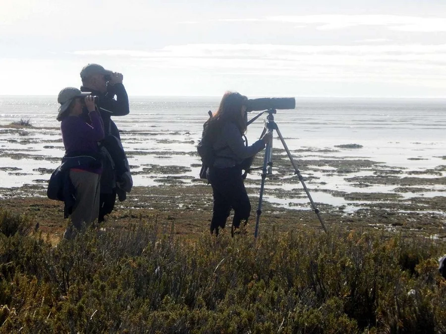 Se realizó conteo de aves acuáticas en la Reserva Costa Atlántica