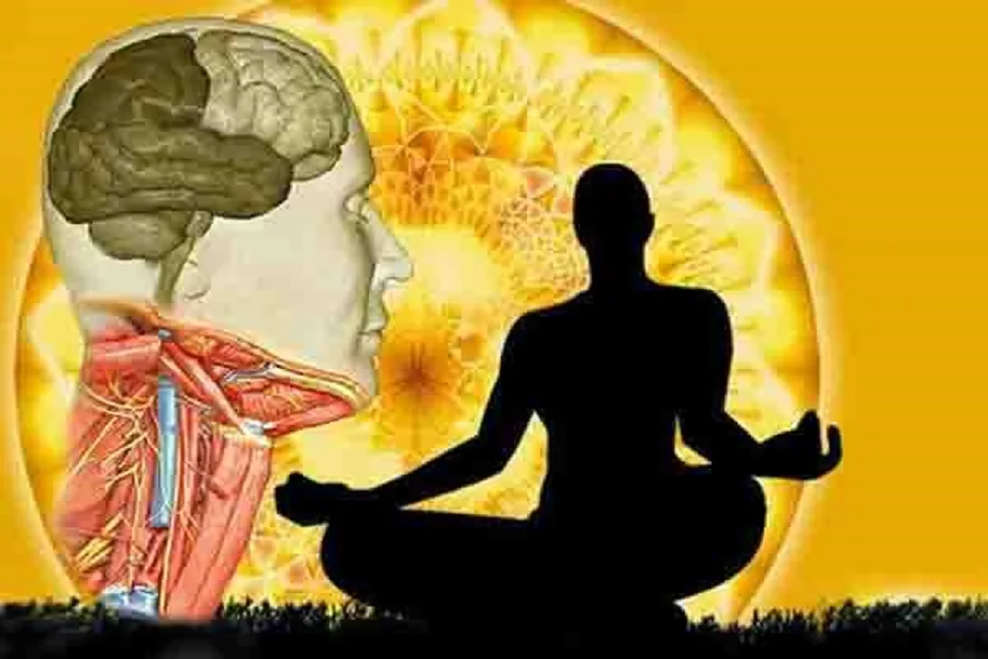 Nervio vago: ¿cómo estimular nuestra válvula de escape emocional?