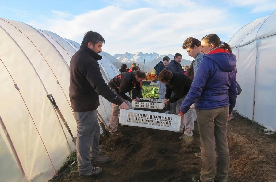 Agricultura doméstica: Dieron inicio a la temporada de huertas