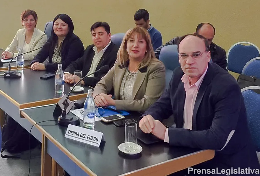Parlamento Patagónico: Fueguinos participaron de la segunda sesión en La Pampa