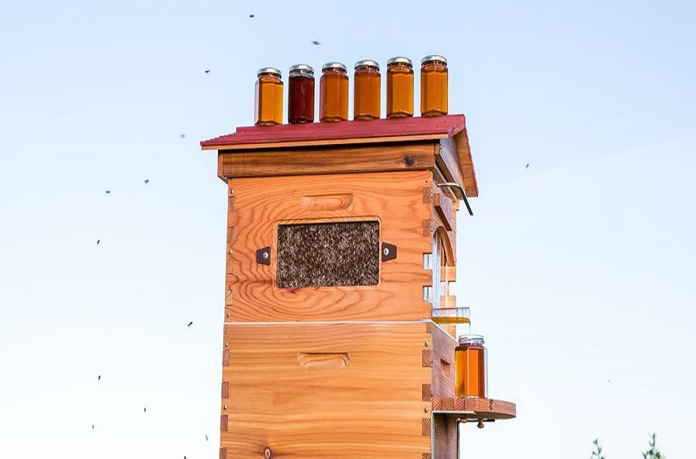 'Colmena dispenser de miel' revoluciona la apicultura