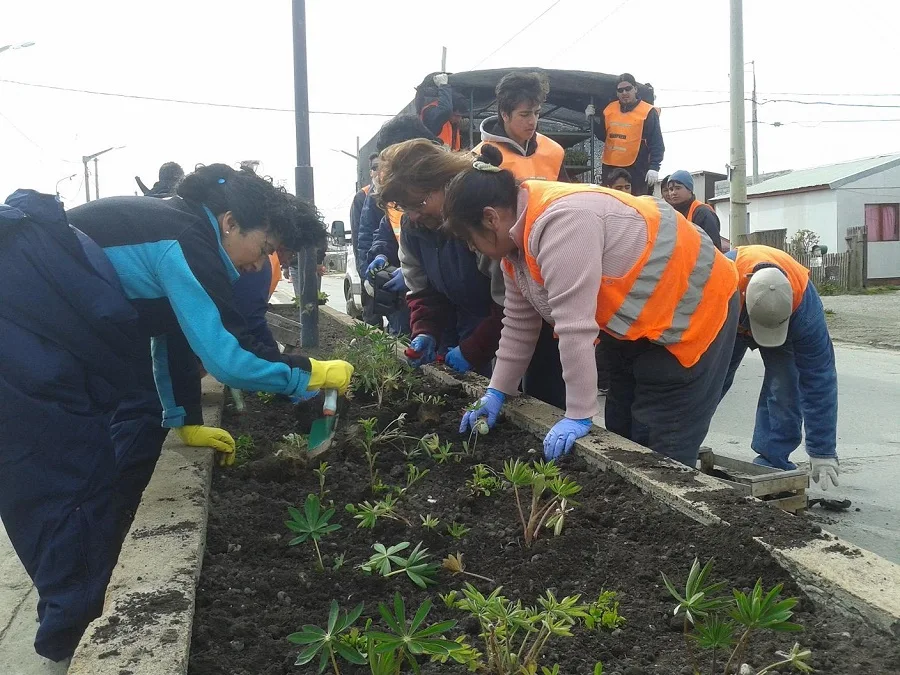 En Río Grande colocarán 600 mil plantines y 6 mil álamos en la temporada