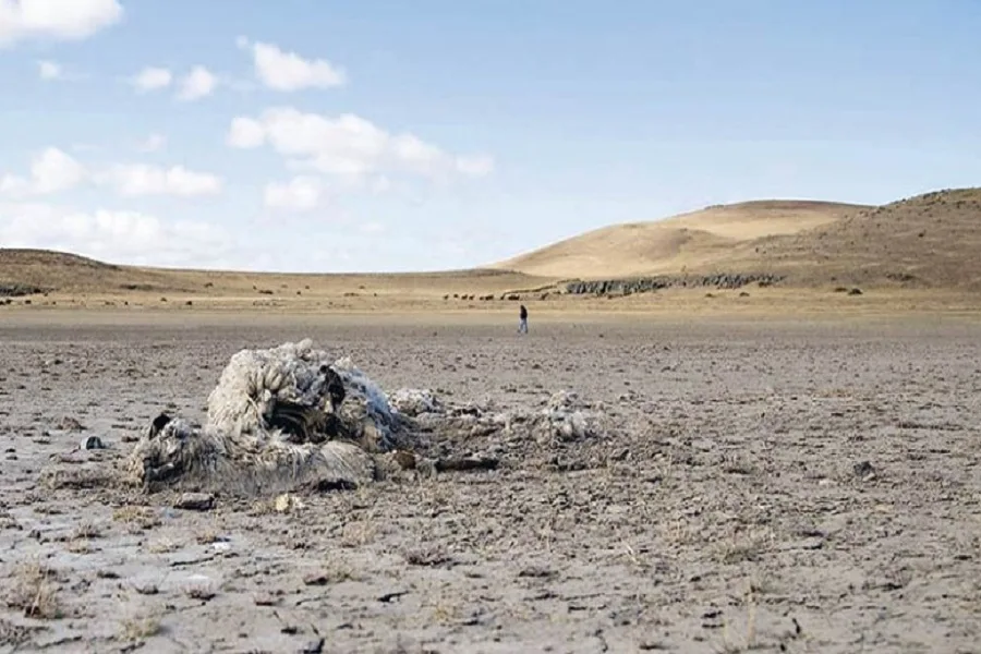 El norte de la Patagonia afronta unas de las peores sequías en 60 años