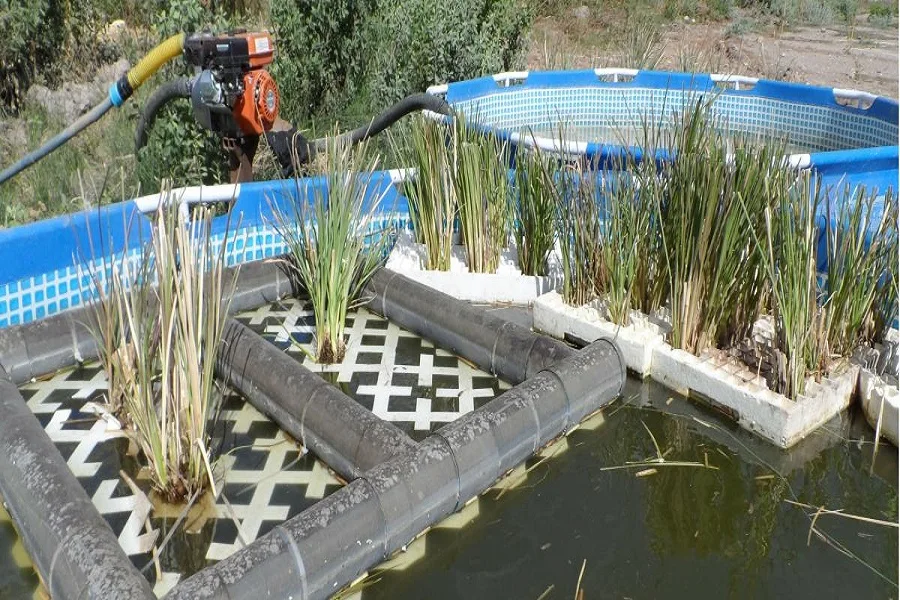 Córdoba: evalúan usar plantas acuáticas para atrapar deshechos tóxicos