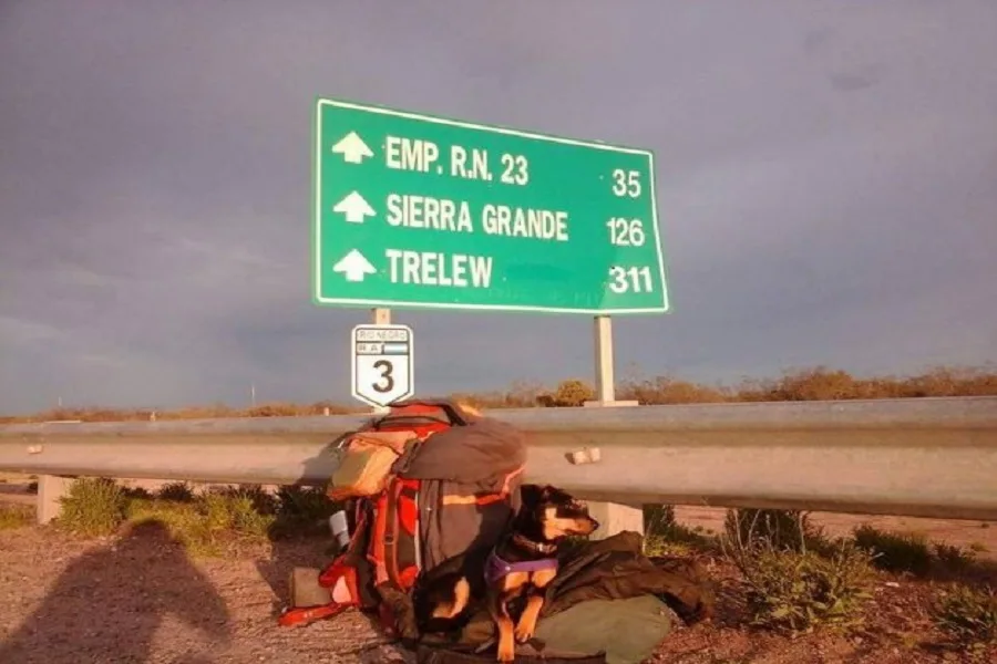 Perdió a su compañera de viaje y pide ayuda para encontrarla 