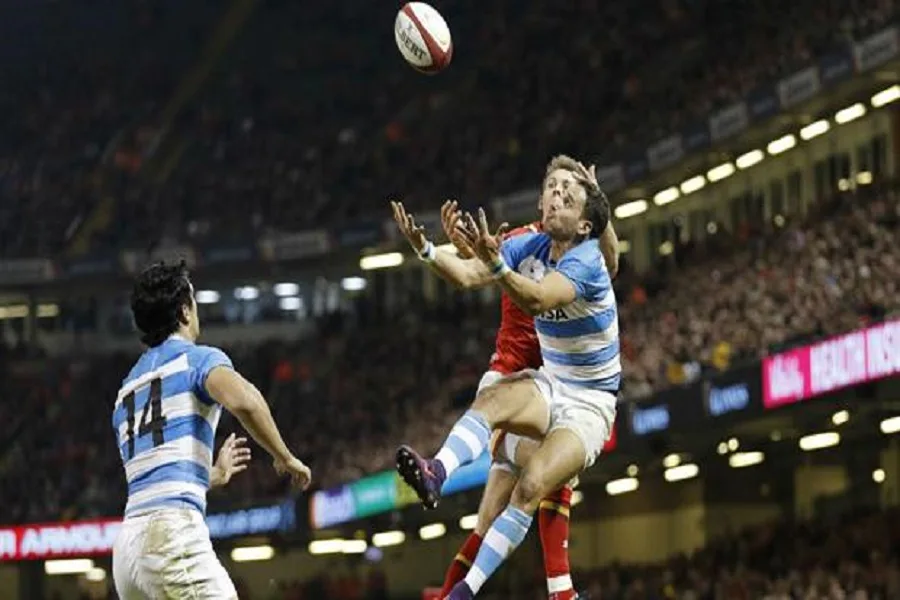 Los Pumas perdieron 24-20 ante Gales en Cardiff en una mala tarde del equipo argentino