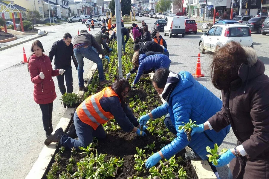 Comenzó la temporada de parquización y colocación de plantines en la ciudad