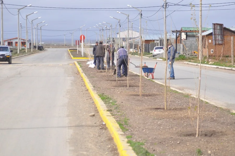 Se comenzó con forestación en el boulevar de Playero Blanco de Chacra XI 