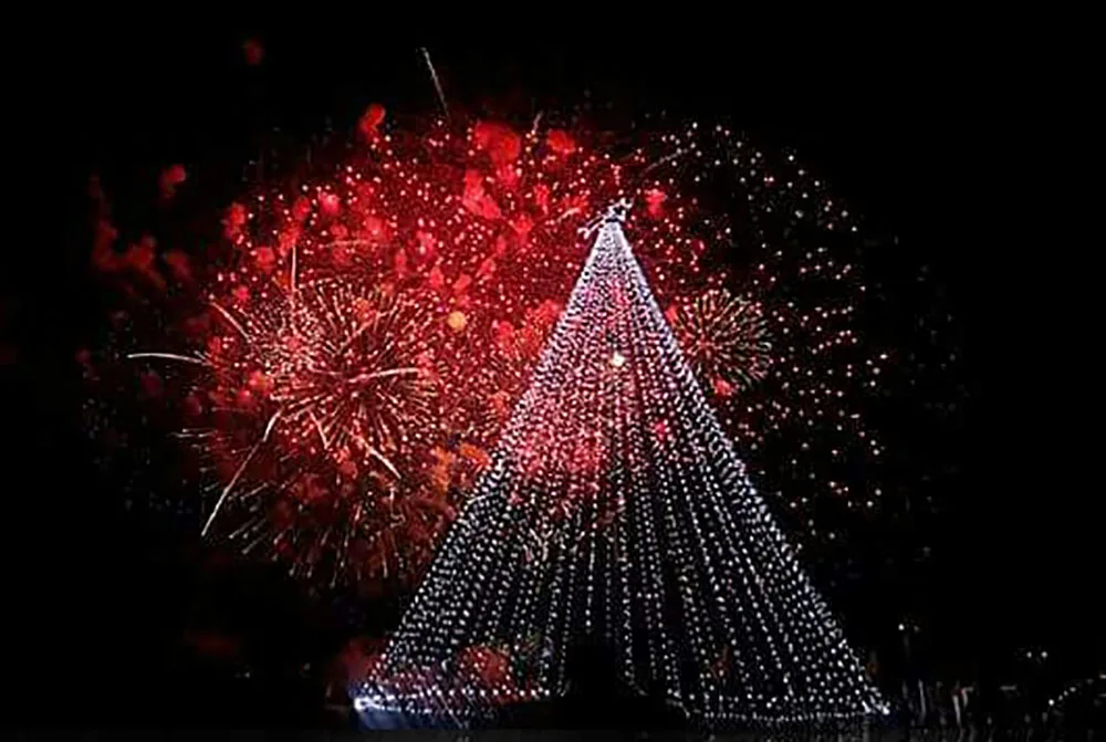 Se realizó el tradicional encendido del gran árbol de Navidad