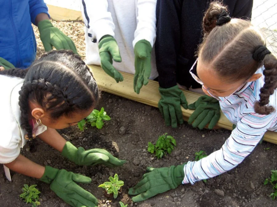 “Nuestra Huerta Escolar”: Proyecto que involucró a toda la comunidad educativa de la Esc. Nº24