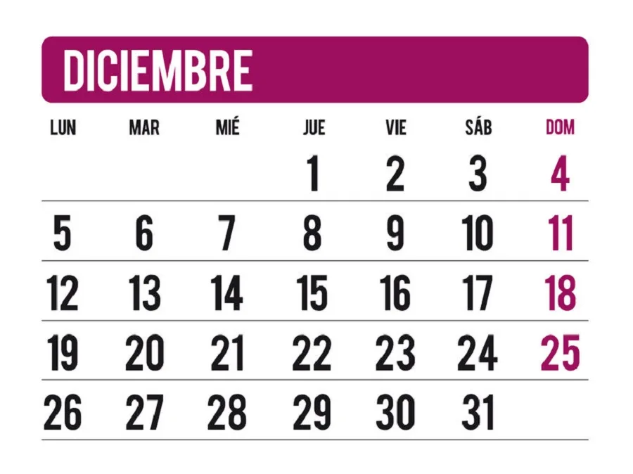 No habrá asuetos de Fin de año ni Navidad para los estatales nacionales