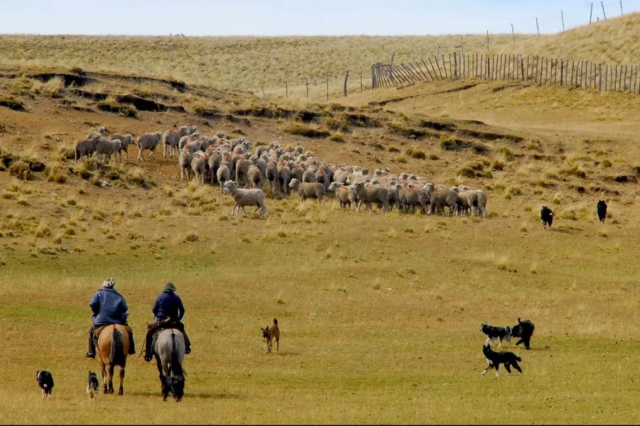 Proponen impulsar el turismo rural para toda la provincia