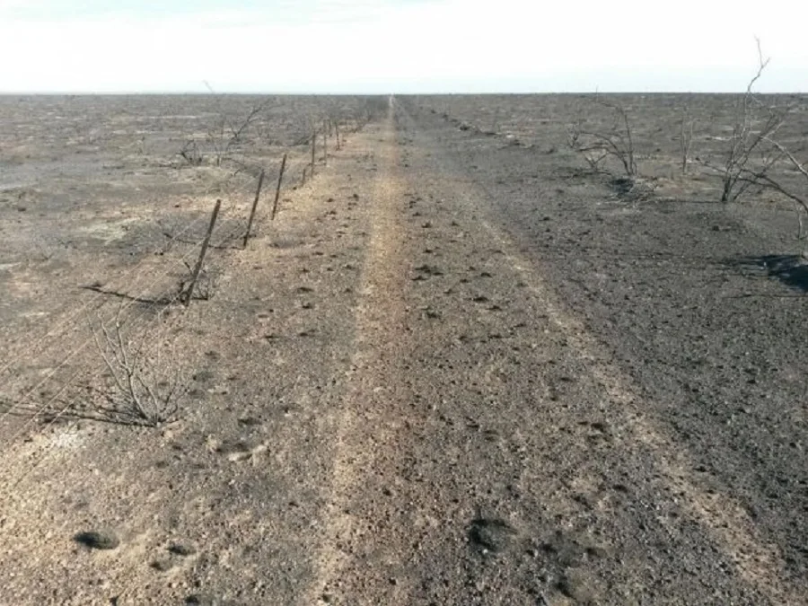 El incendio al norte de Puerto Madryn está "controlado"