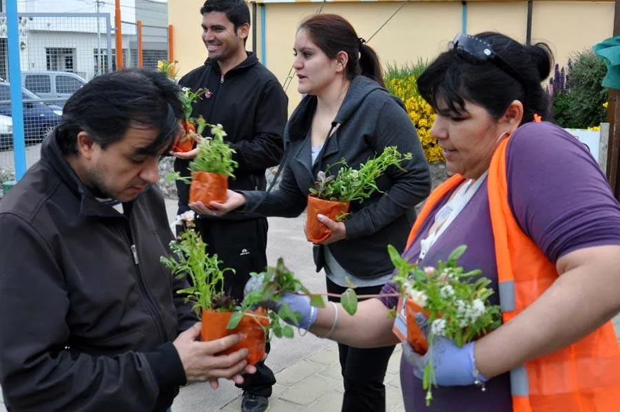 Este martes se realizará la tradicional entrega gratuita de plantines