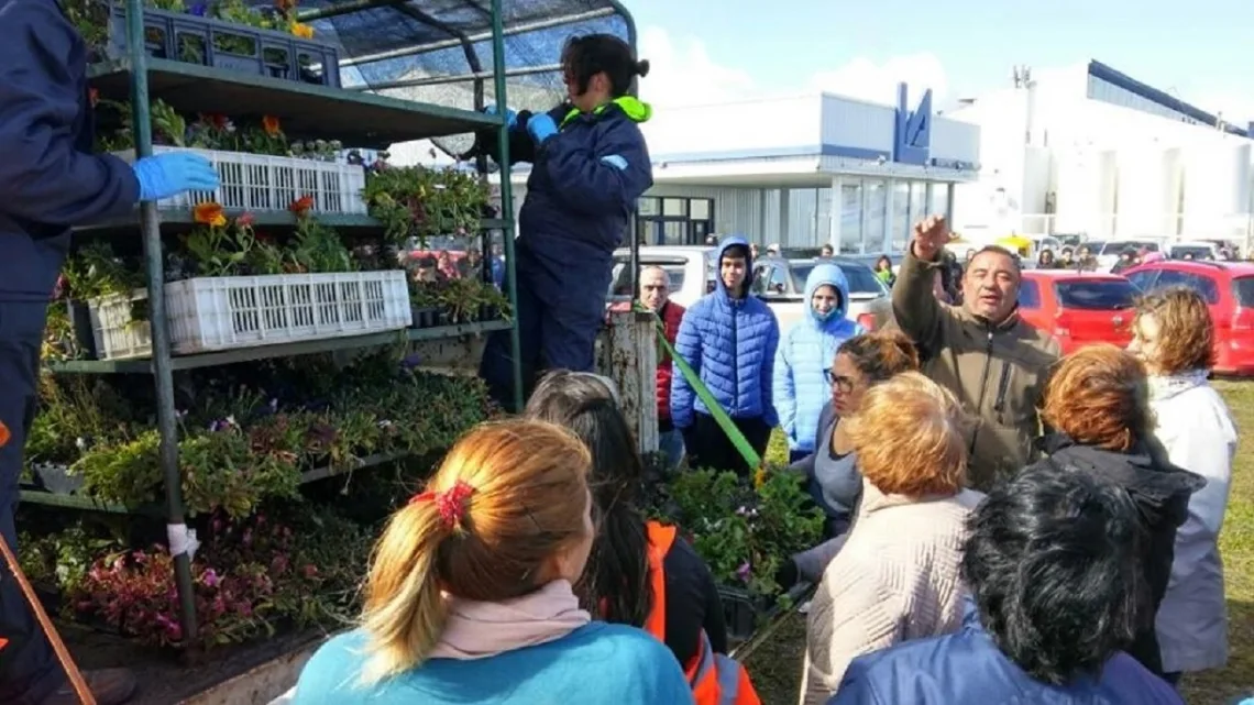 Río Grande: El municipio realizó la tradicional entrega de plantines