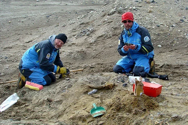 Científicos del Instituto Antártico Argentino y del Conicet hallaron los restos.