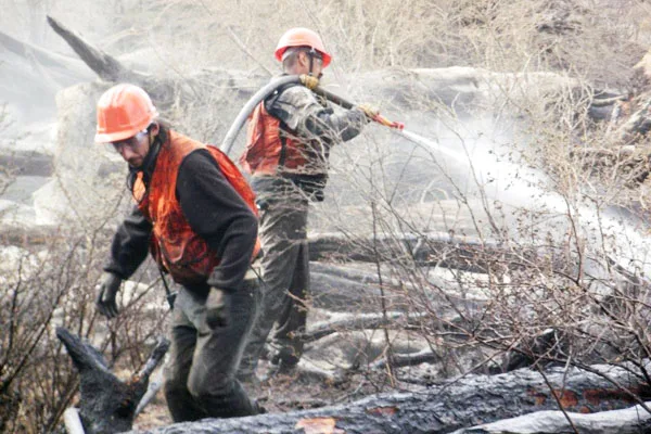 Brigadistas trabajaron denodadamente para frenar el avance del fuego.