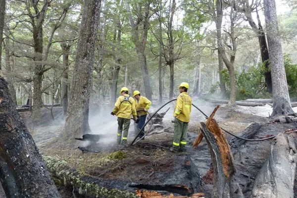 El bosque fueguino, consumido por los incendios.