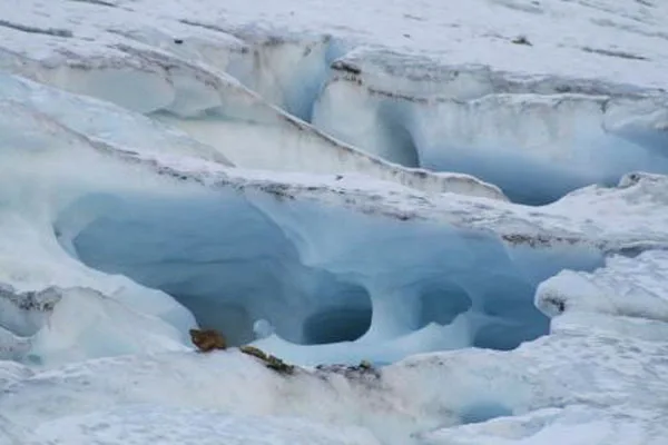 El Ojo del Albino, uno de los glaciares fueguinos.