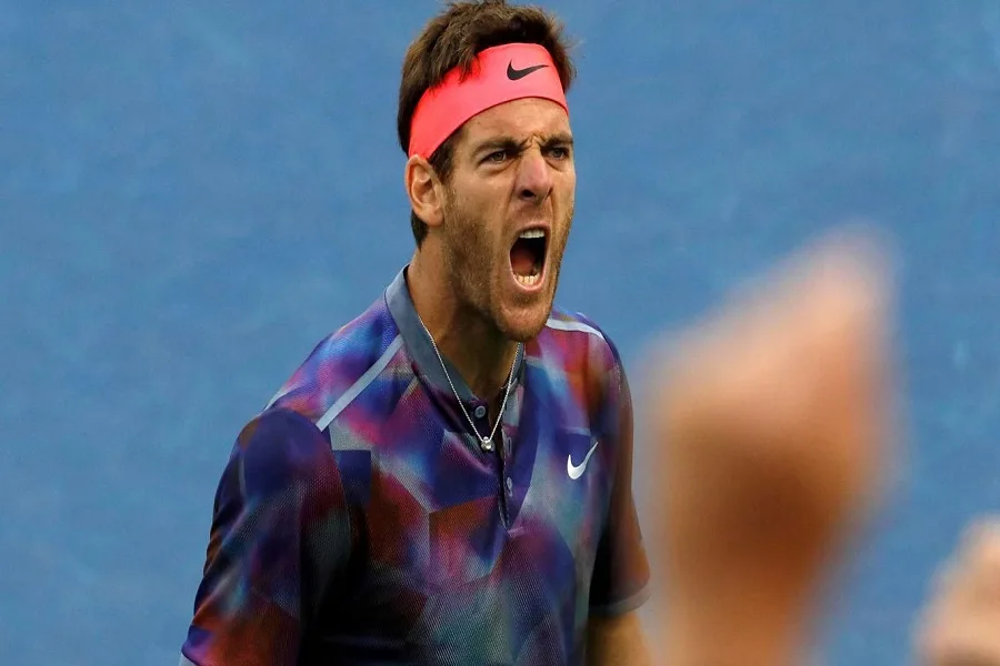 Histórico: Juan Martín Del Potro le ganó a Roger Federer y avanza a semifinales