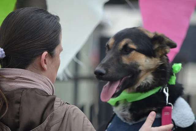  Polideportivo Margalot: Se viene la primera Kermesse Canina 