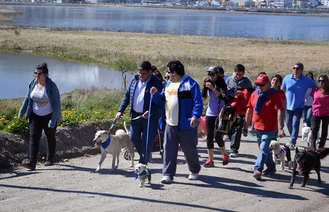 Tenencia responsable: La ‘Caninata’ congregó a muchas familias en Ushuaia