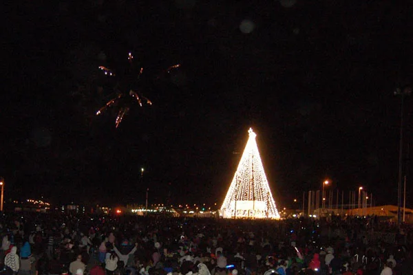 El árbol de San Martín y Santa Fe, siempre espectacular.