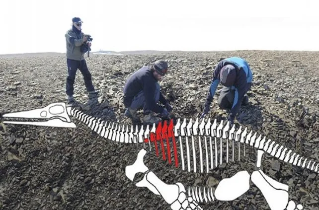 Hallaron restos de lagarto gigante del jurásico en la Antártida