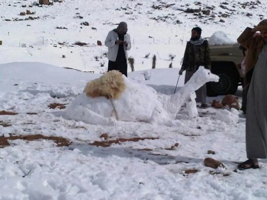  La ola polar hizo nevar en el desierto del Sahara por tercera vez en casi 40 años